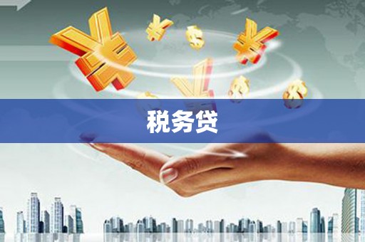 雁江税务贷